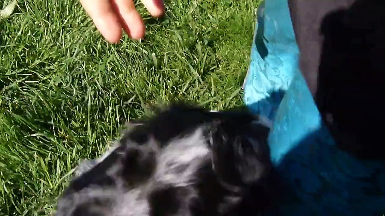 Ethan, Lennon et Lullaby