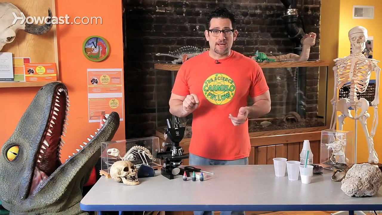 Make Water Disappear (Amazing Science Experiment)