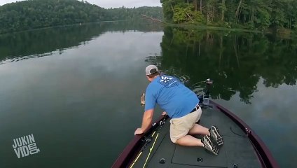 Fisherman Rescue Stranded Kittens  Catfishing