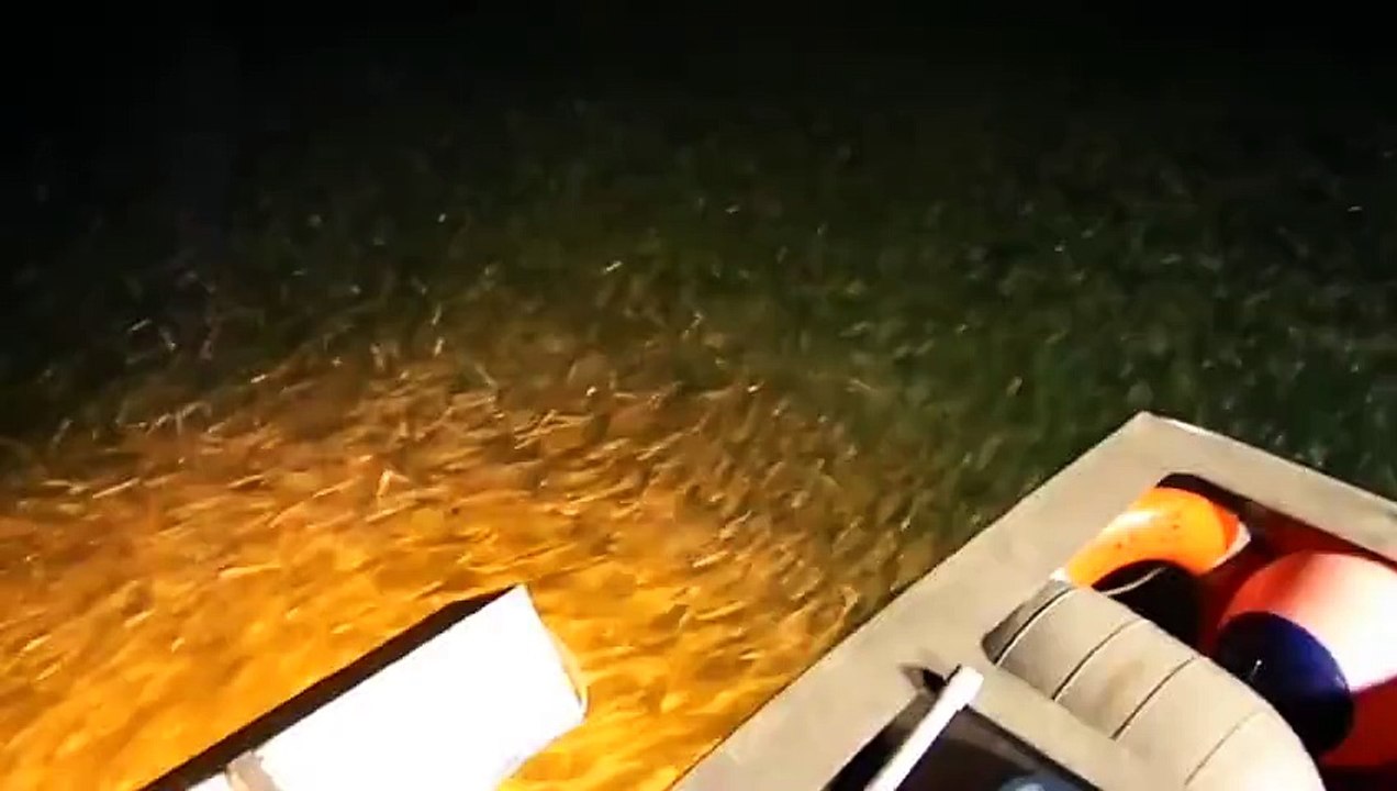 Fisherman Wake Up Squid  Squidward's Worst Nightmare