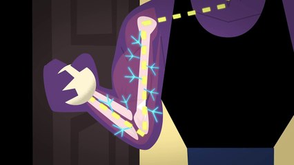 What makes muscles grow