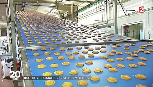 Consommation : les produits moches aujourd'hui réhabilités