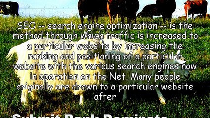 Hiring A SEO Professional