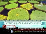 اجمل صوت قارئ قران صوت صاف ملائكي جودة عالية Quran Bes