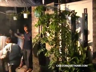 Sau Vuong Ý Nhac  Minh Canh út -