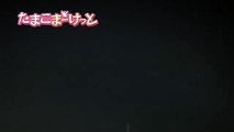 TVアニメ『たまこまーけっと』第5話WEB版予告