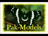 Pakistani Models