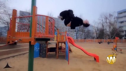 Best Parkour and Freerunning 2015