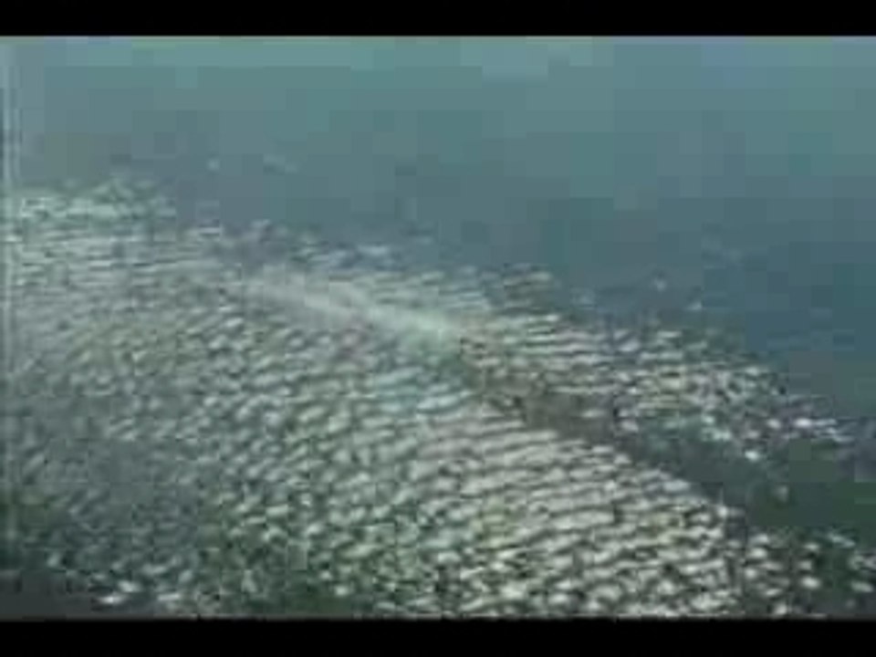 Ultraman - 1er Episode 1966 2/3