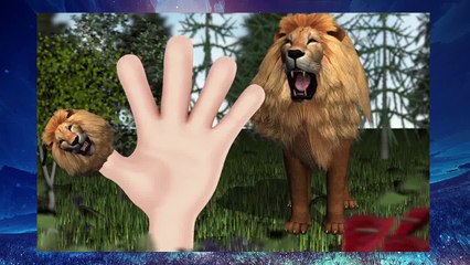 3D Farm Birds Finger Family Song | 3D Daddy Finger Animal Nursery Rhyme for Children