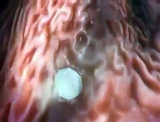 How the medicine works in the human body