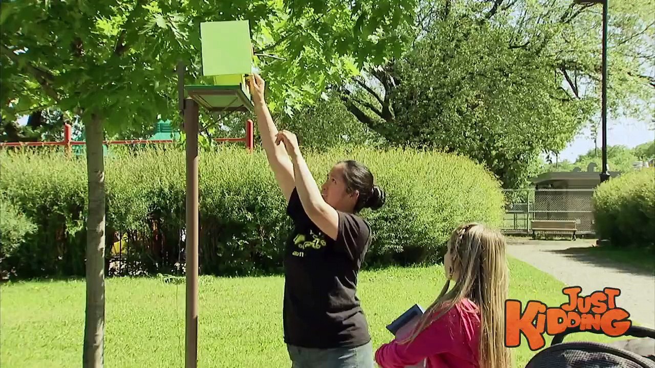 Fake Bird in Birdhouse