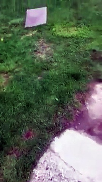 Girly girls wrestling