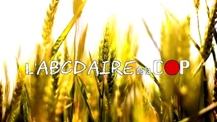 L'ABCDAIRE DE LA COP - LA FRANCE HÔTE HYPOCRITE