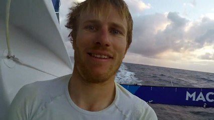 Jour 9 - Macif (Ultime) - Transat Jacques Vabre 2015