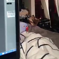 Why I can't get anything done