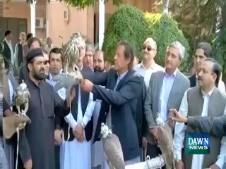 Imran Khan releases birds in Peshawar