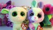 Beanie Boo Collection Update New Ty Beanie Boos