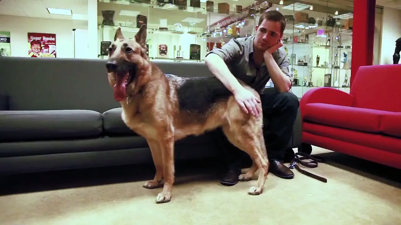 Fallout 4 Behind The Scenes with Dogmeat
