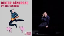 Oui je suis sadomasochiste ! / Didier Bénureau et des Cochons