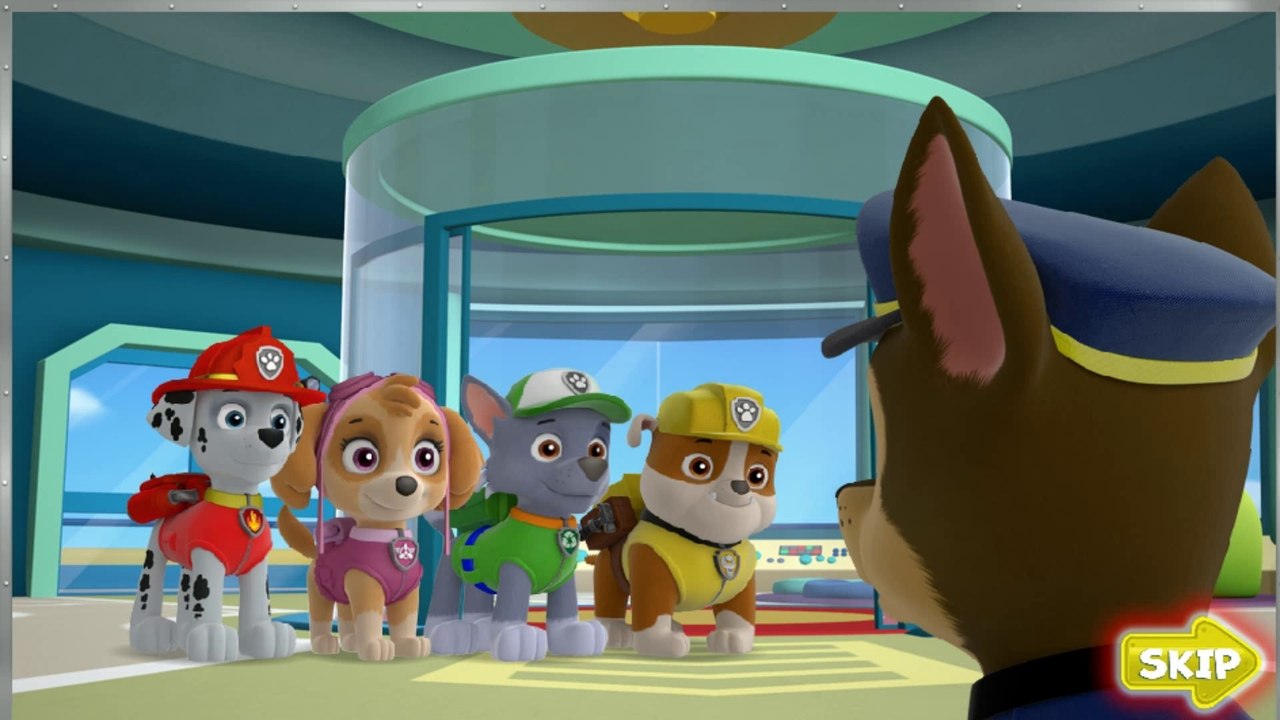 paw patrol academy
