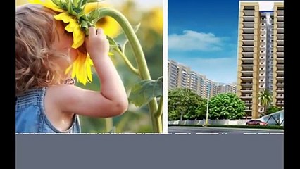 Gulshan Ikebana Apartments Noida