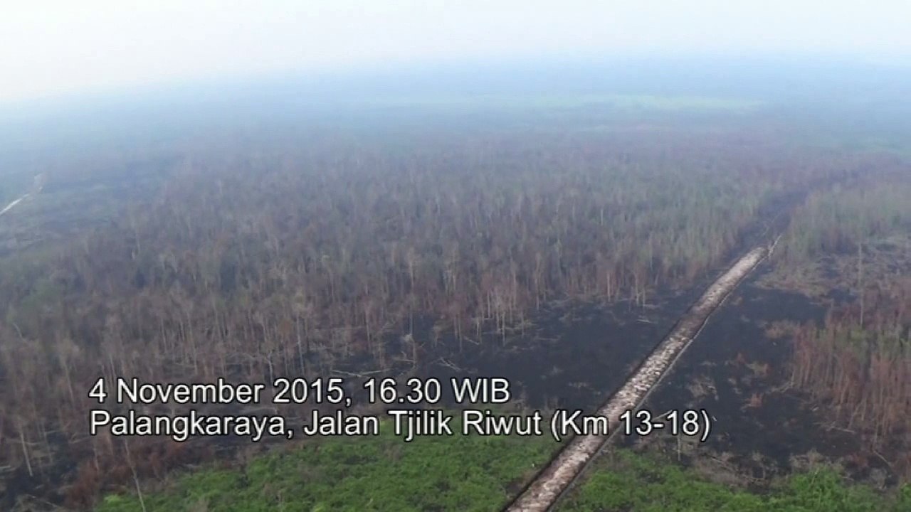 VIDEO: Palangkaraya  04/11/2015 (From the sky / Du ciel / Dari udara)