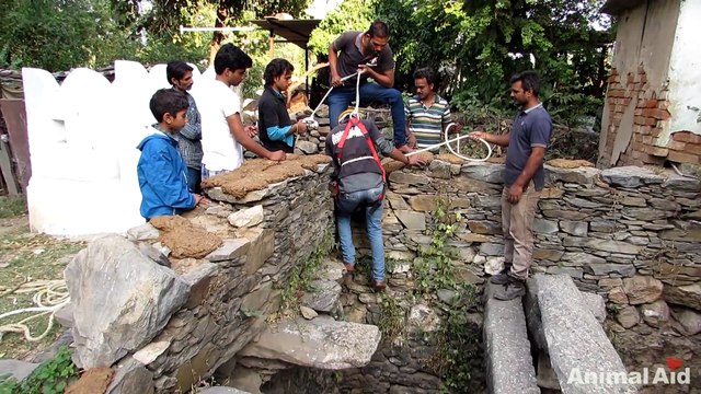 Heartwarming rescue of dog fallen in well - watch when she sees her rescuer