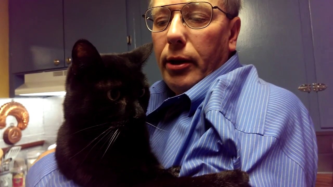 The Cure For Stroke Damage In A Cat