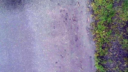 Garbage truck nearly runs car off road; company refuses to pay full cost to repair damage