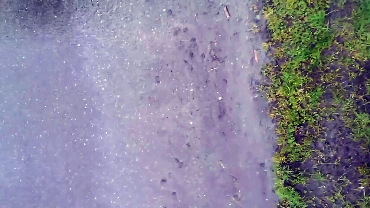 Garbage truck nearly runs car off road; company refuses to pay full cost to repair damage