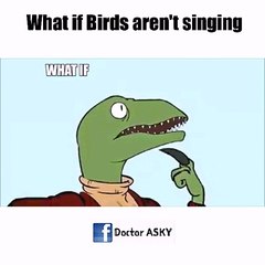 What if Birds are not actually singing ?