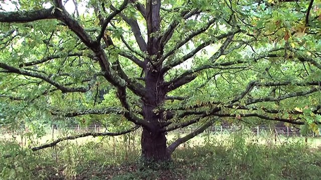 Des corridors écologiques pour s’adapter au dérèglement climatique