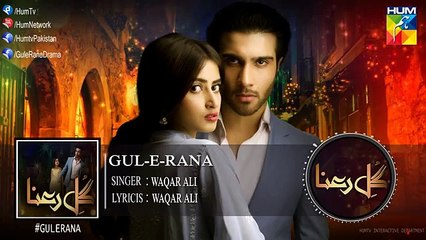 Gul E Rana Full Audio OST  Sajjal Ali  Feroze Khan  HUM TV Drama