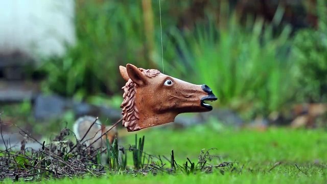 Un mangeoire pour rongeur en forme de tête de cheval