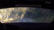 Miniature DailyMotion
