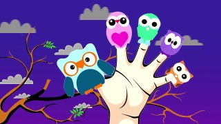 OWL Finger Family | Songs For Kids | Surprise Eggs Animation for Children | Nursery Rhymes