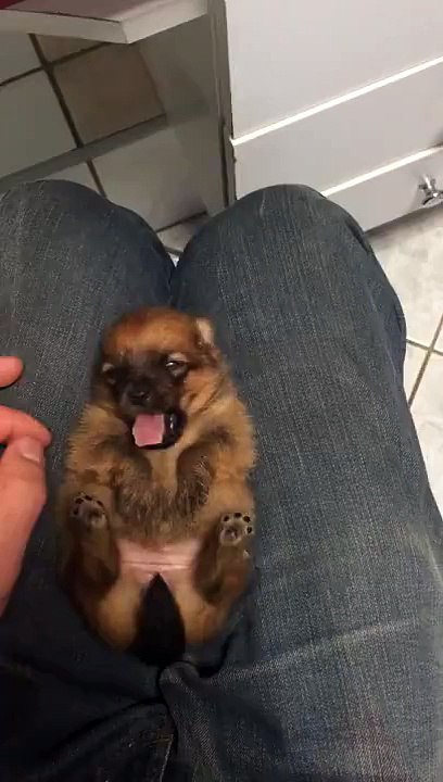 It's sleepy time!