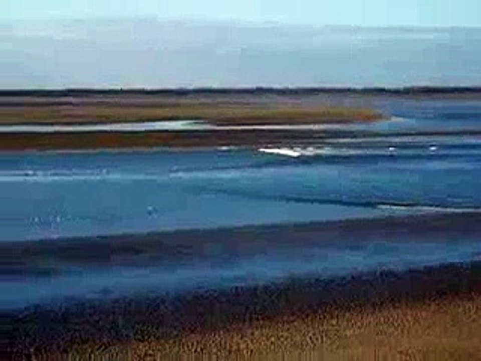 6036539_mp4_h264_aac_ld