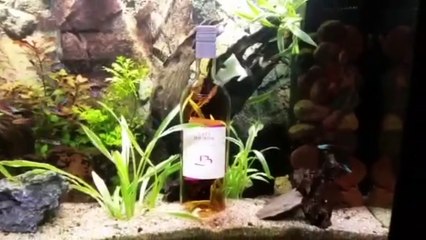 Anniversaire Florine