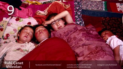 Okulda ASLA Öğrenemeyeceğiniz 10 TUHAF BİLGİ