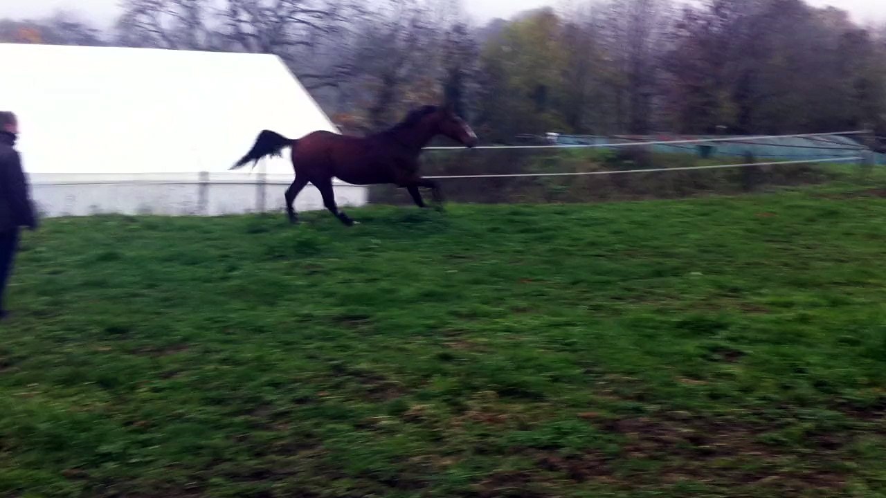 15-11-02 - Liberté 10