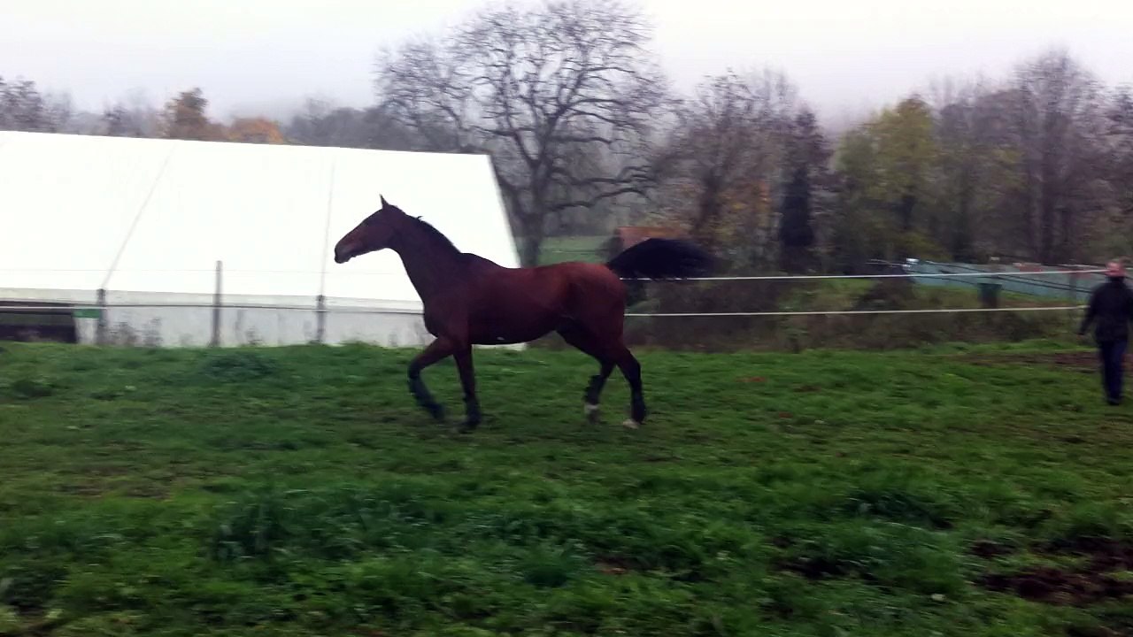 15-11-02 - Liberté 13