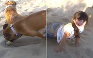 Dog gets revenge on kicking girl by burying her in sand - Dont Bother take panga with dog LOL