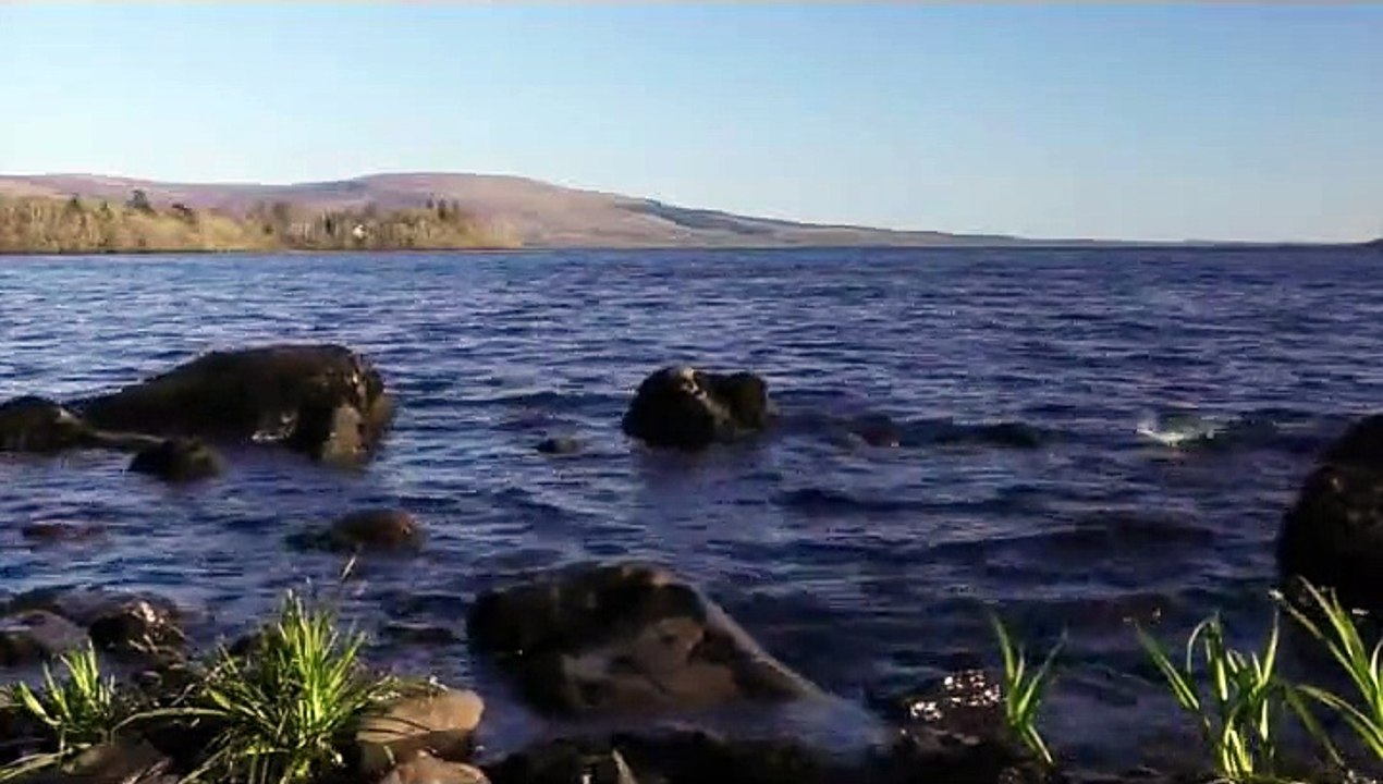 Unutma Beni Vedat Şencan