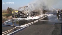 Thousands of frozen ducks 'roasted' after delivery truck bursts into flames