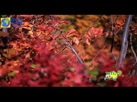 Tatilci World Travel Channel Kavrun yaylasında