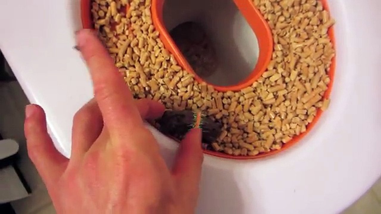 APRIL FOOLS POOP PRANK