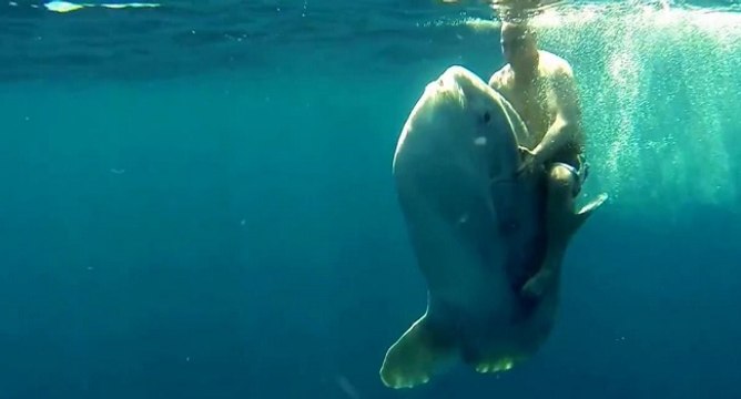 Un abruti de première chevauche un poisson-lune