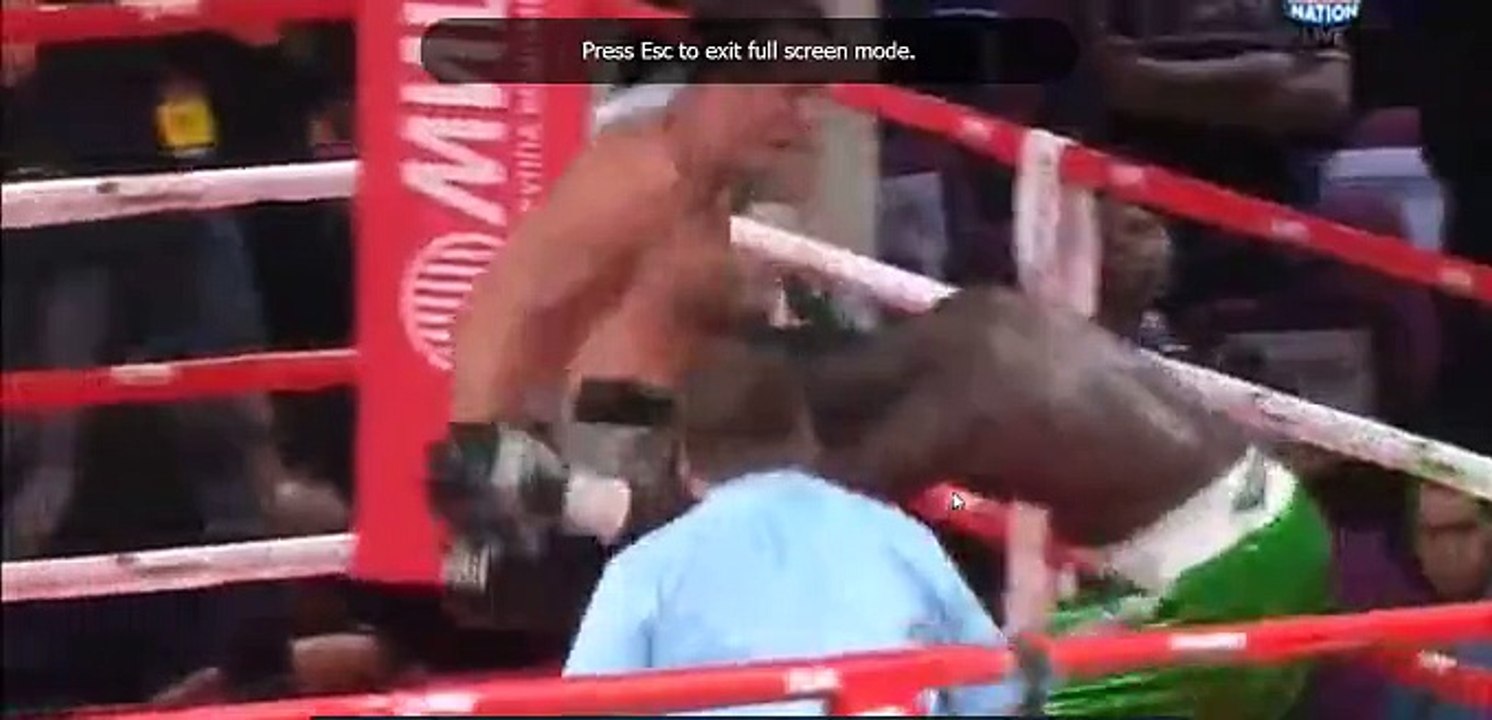 Denis Lebedev KO Lateef Kayode